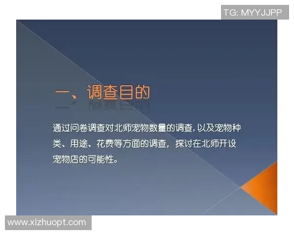 刘邦与足球明星的关系探讨及其在体育界的影响分析